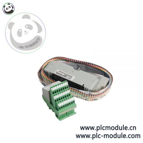 FOXBORO P0916AW System Module for Industrial Control