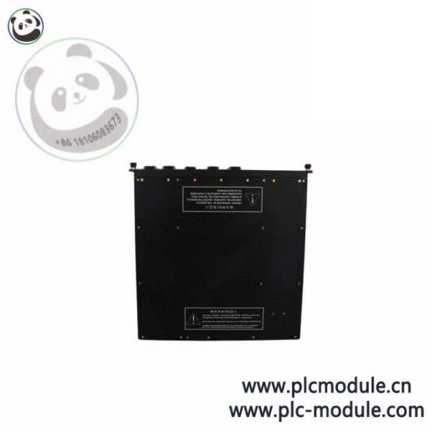 TRICONEX 9760-2 7300150-001 Industrial Control Module