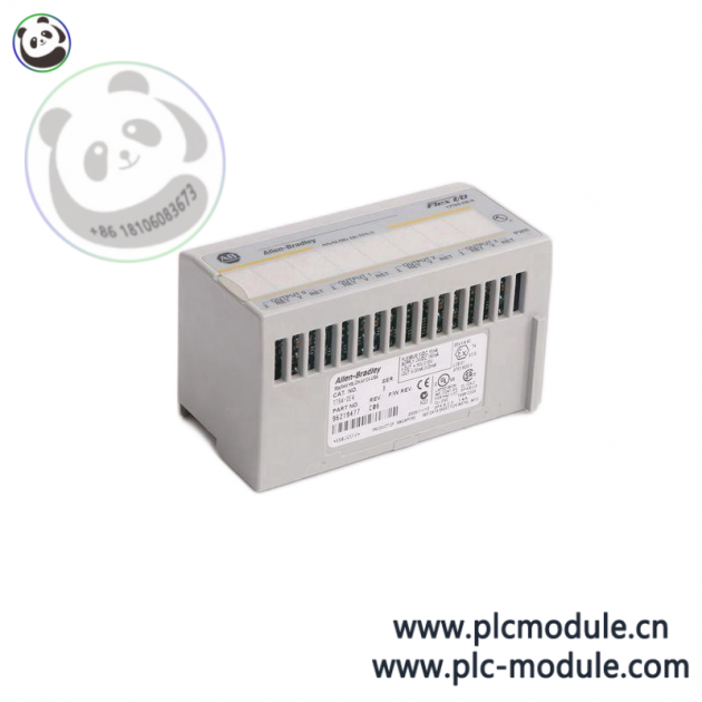 GE OTHER FLASH SERIES 2 Module