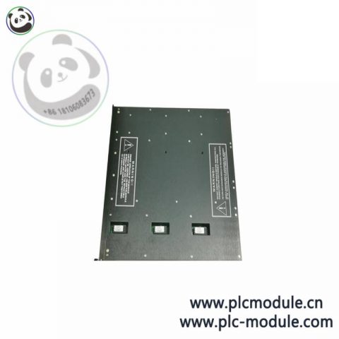 TRICONEX 9001NJ(6FEET) Control Module